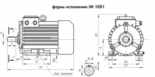 Электродвигатель БЭЗ AMTH 132M6 У1 IM1001. Фото