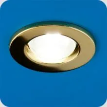 Светильник точечный 100Вт (E27,220В,золото)